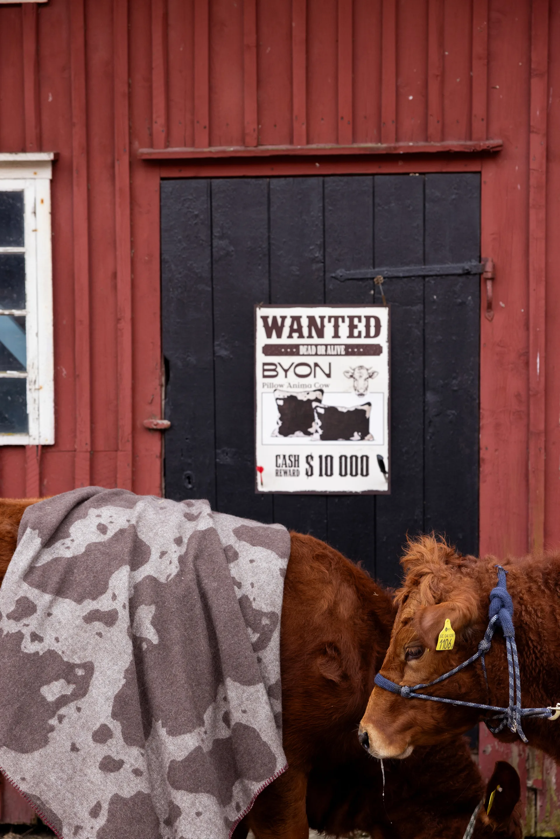 Anima blanket 130x200 cm, Cow Byon