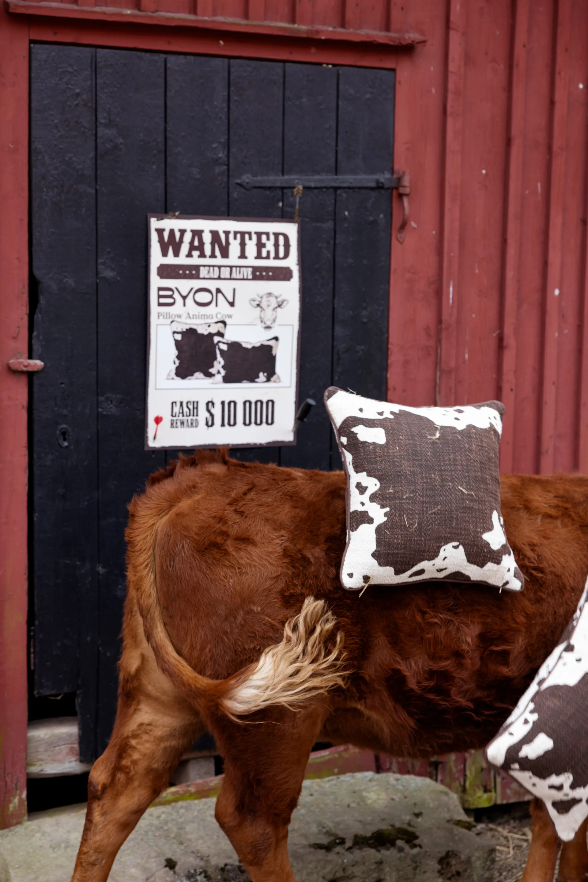 Anima cushion M 50x50 cm, Cow Byon