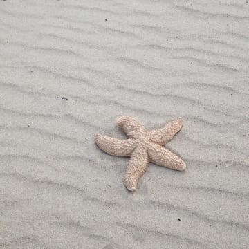 Mandy starfish - beige - Byon