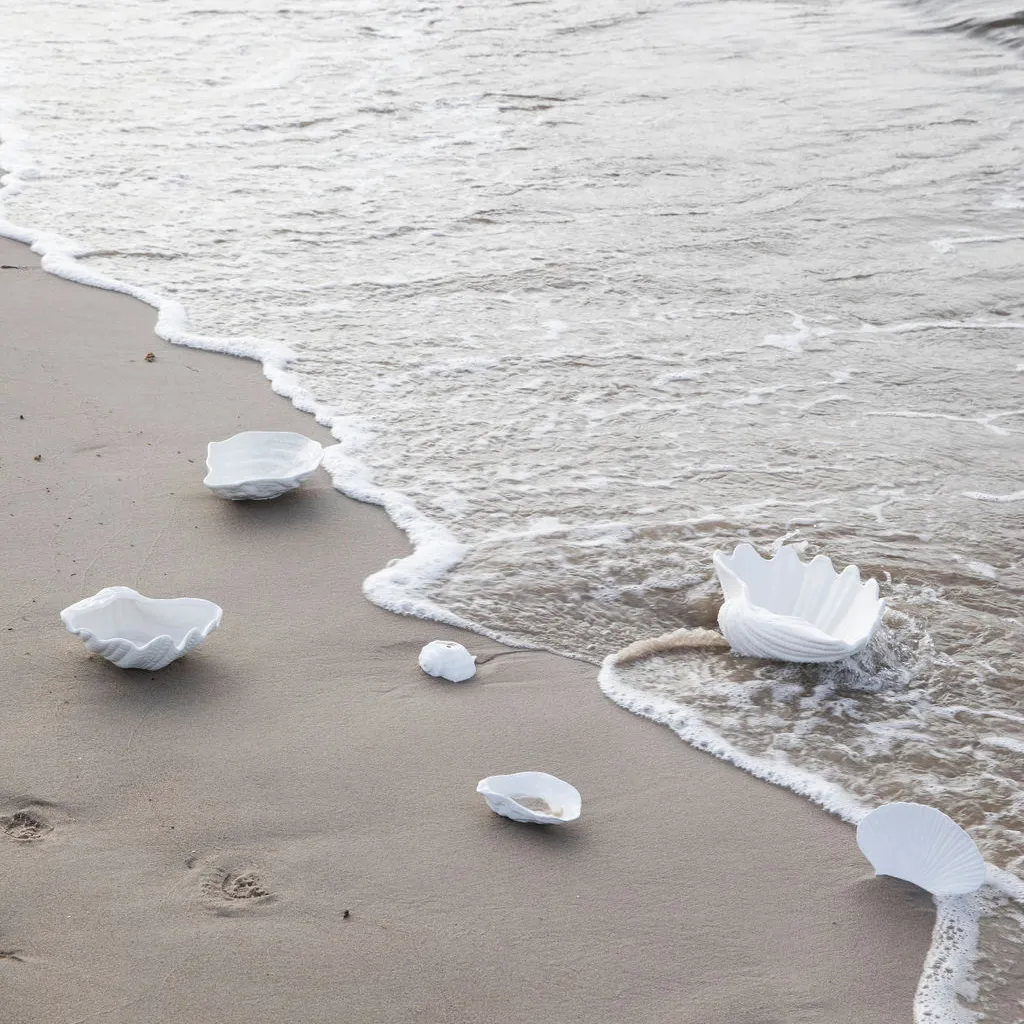Shell bowl, 13 x 23 cm Byon
