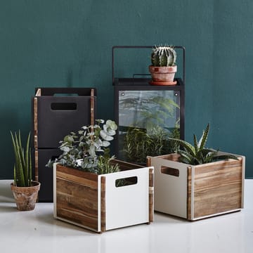 Box storage - Lava grey, teak - Cane-line