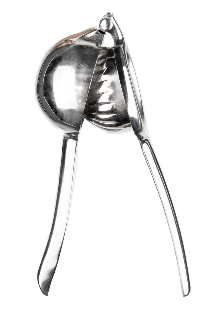 Stainless steel citrus press hotsell