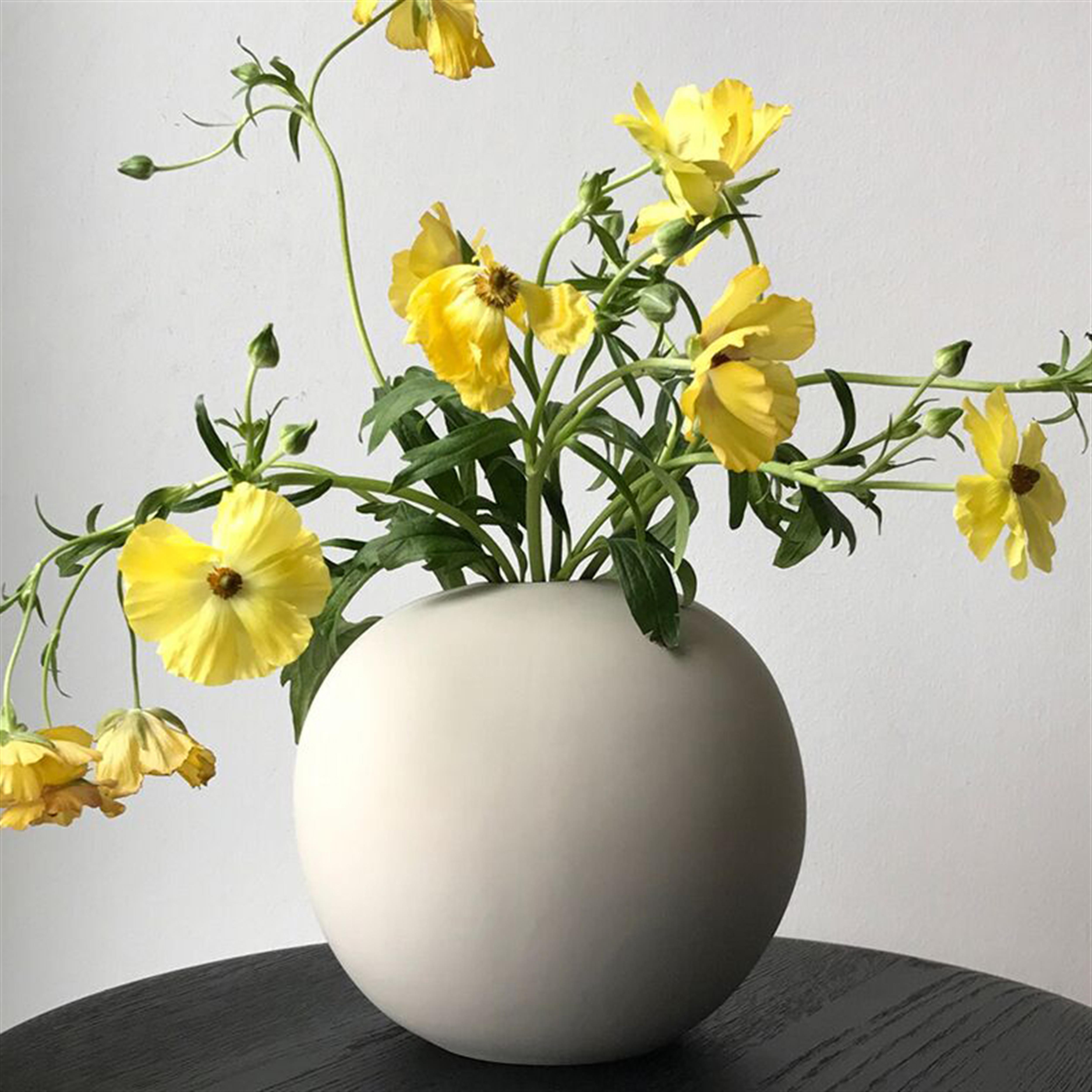 Cooee Design Vase Ball Mint 10cm