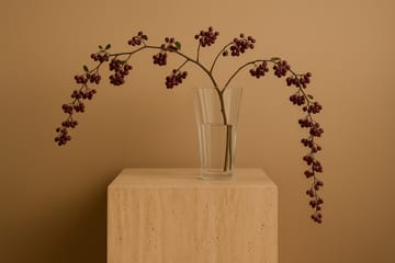 Liliané vase 28 cm - Clear - Cooee Design