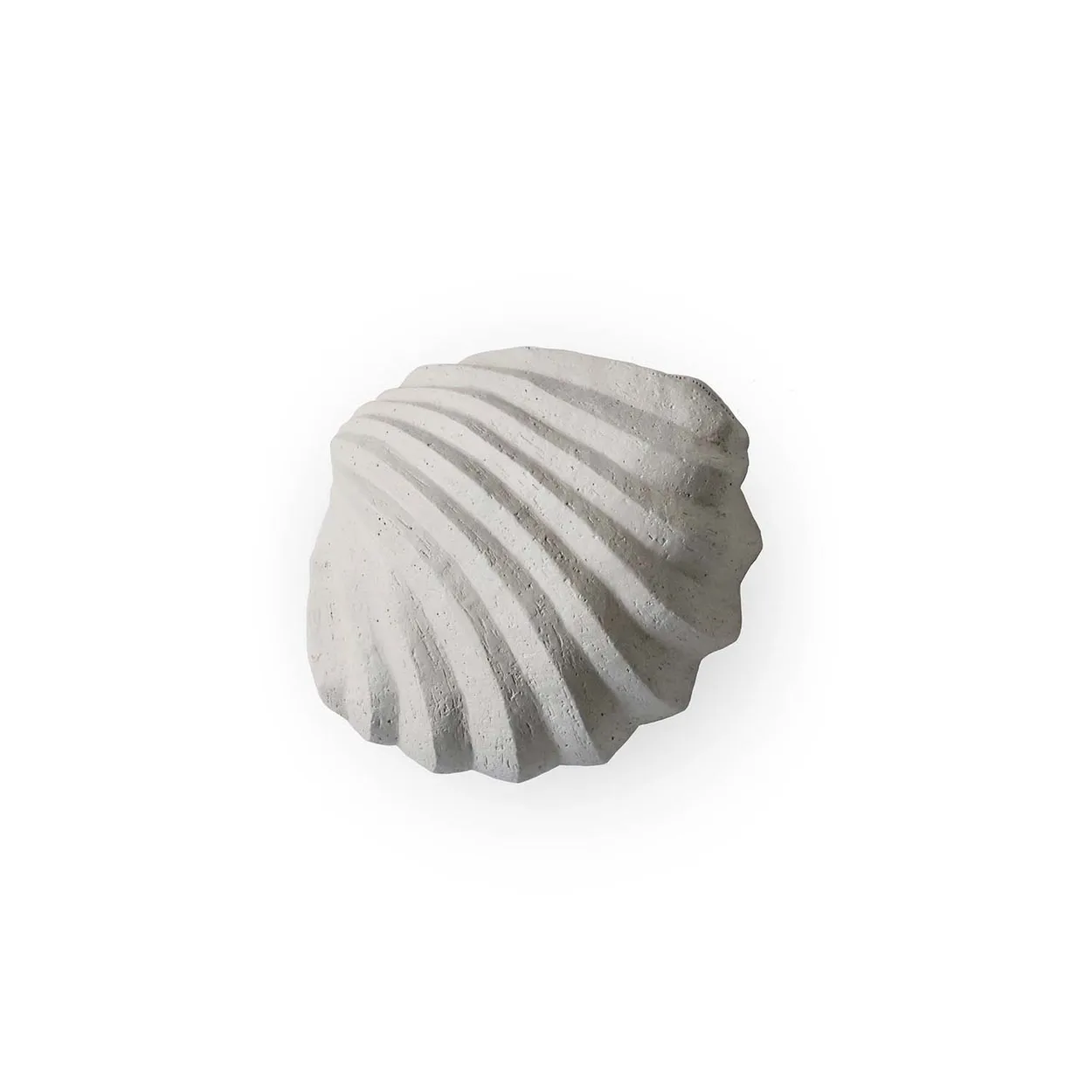 Cooee Design The Clam Shell sculpture 13 cm Limestone