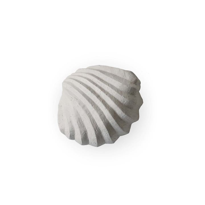 The Clam Shell sculpture 13 cm - Limestone - Cooee Design