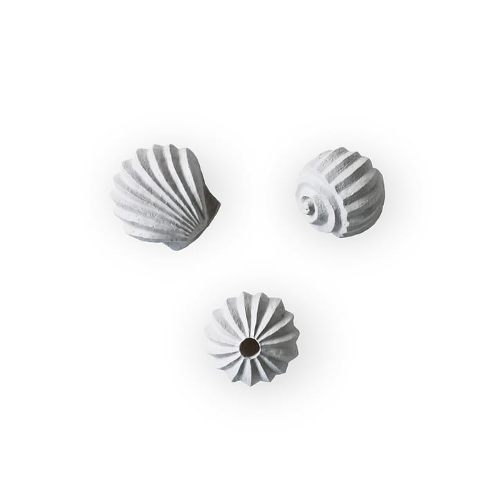 The Genesis Shells sculpture 3-pack - Limestone - Cooee Design