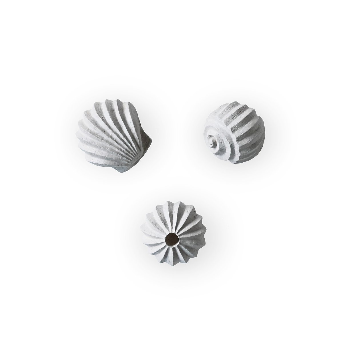 Cooee Design The Genesis Shells sculpture 3-pack Limestone