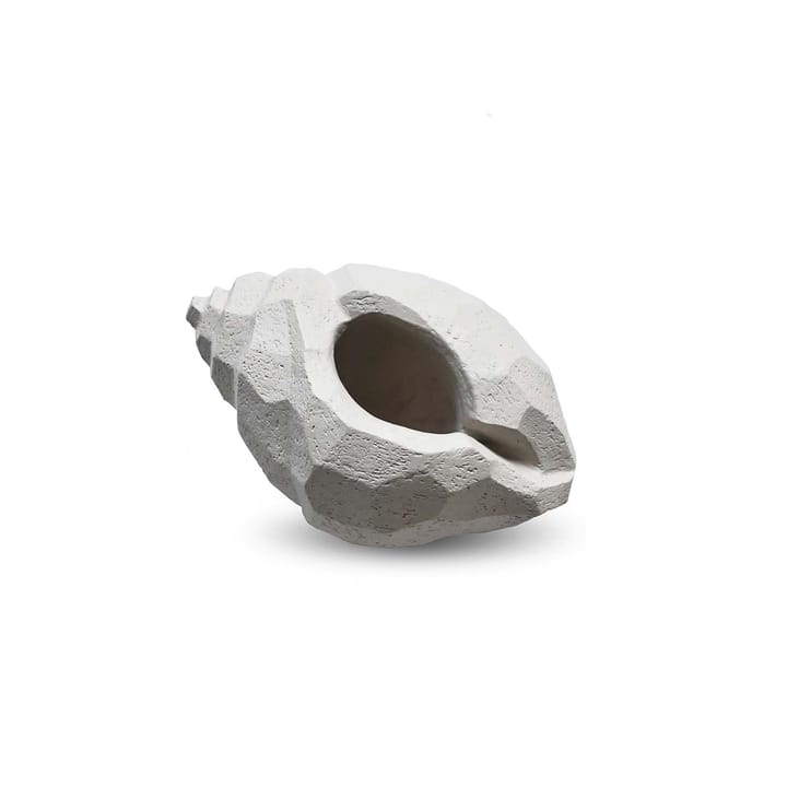 The Pear Shell sculpture 16 cm - Limestone - Cooee Design