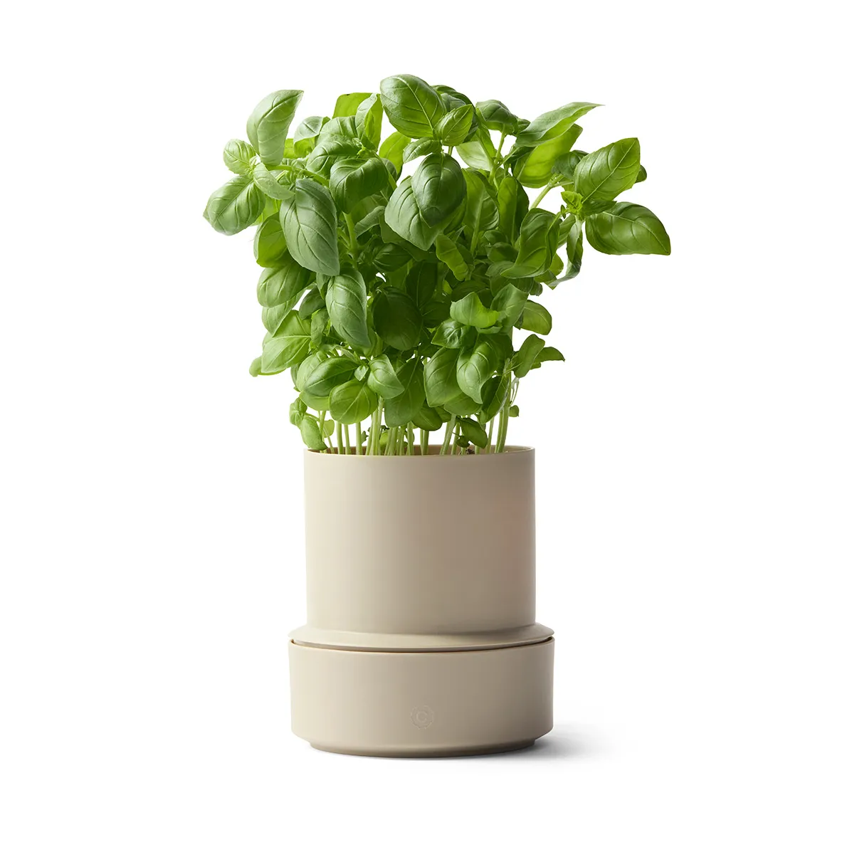 Billund self-watering herb pot, Cumin Crushgrind