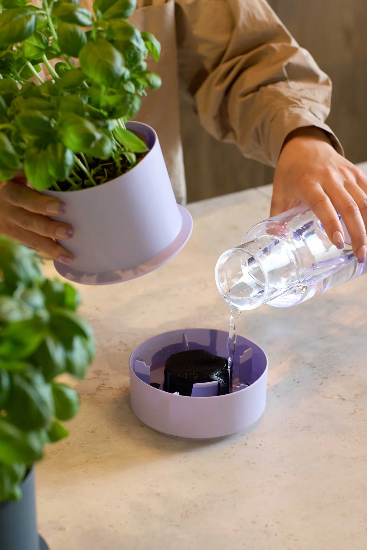 Billund self-watering herb pot, Cumin Crushgrind