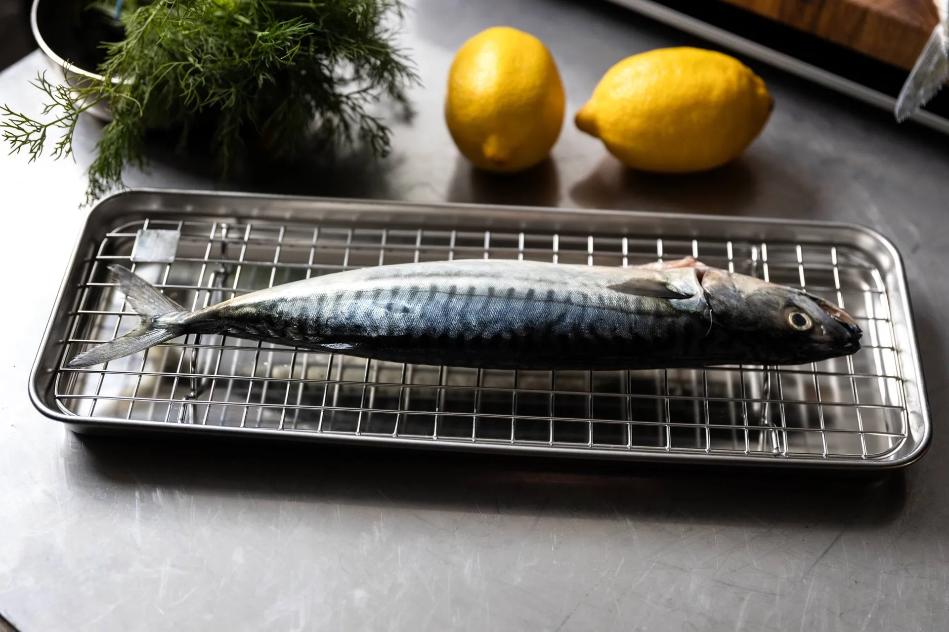 Culimat gastro container with cooling rack, Stainless steel, 38x14x2,5 cm Culimat