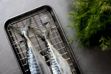 Culimat gastro container with cooling rack - Stainless steel, 38x14x2,5 cm - Culimat