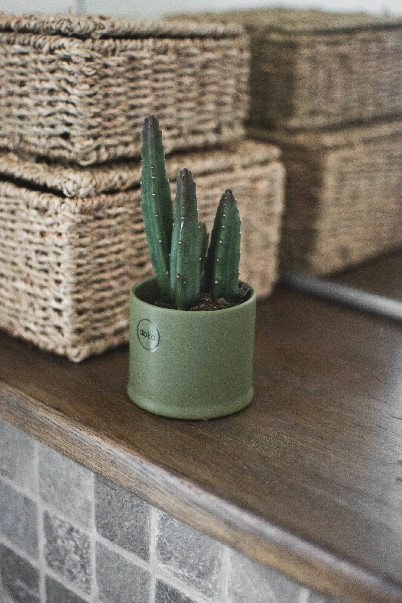 Astillbe pot, Green, small, Ø7x6 cm DBKD