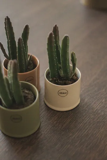 Astillbe pot - Vanilla, small, Ø7x6 cm - DBKD