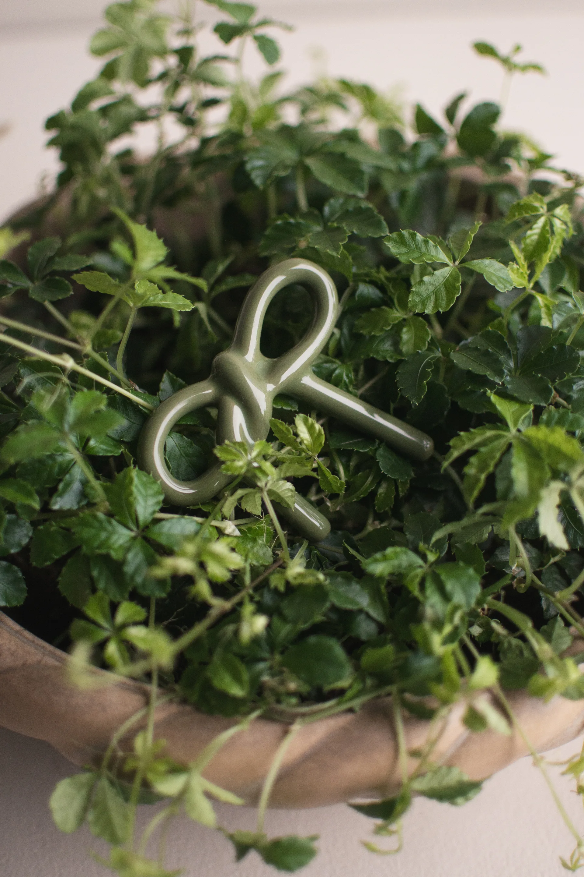 Bow floral decoration, Shiny green DBKD