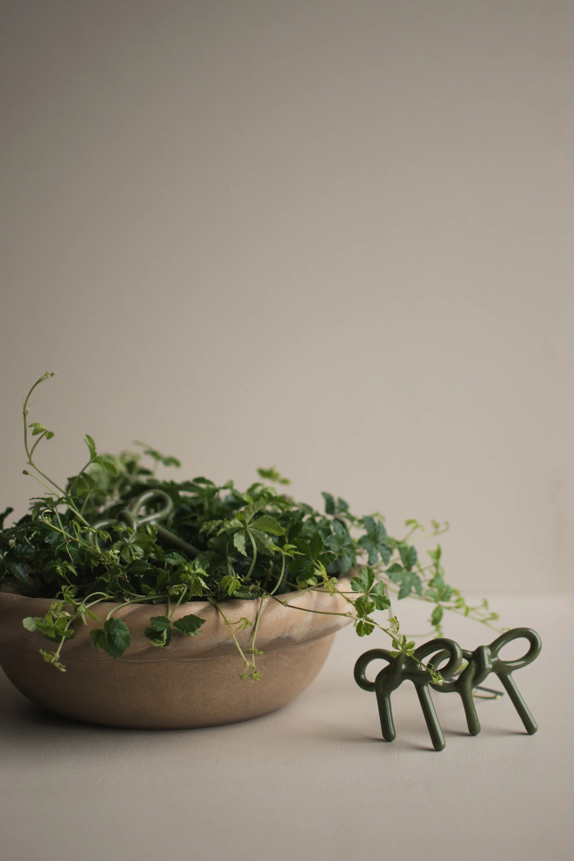 Bow floral decoration, Shiny green DBKD