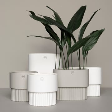 Front flower pot oval low - white - DBKD