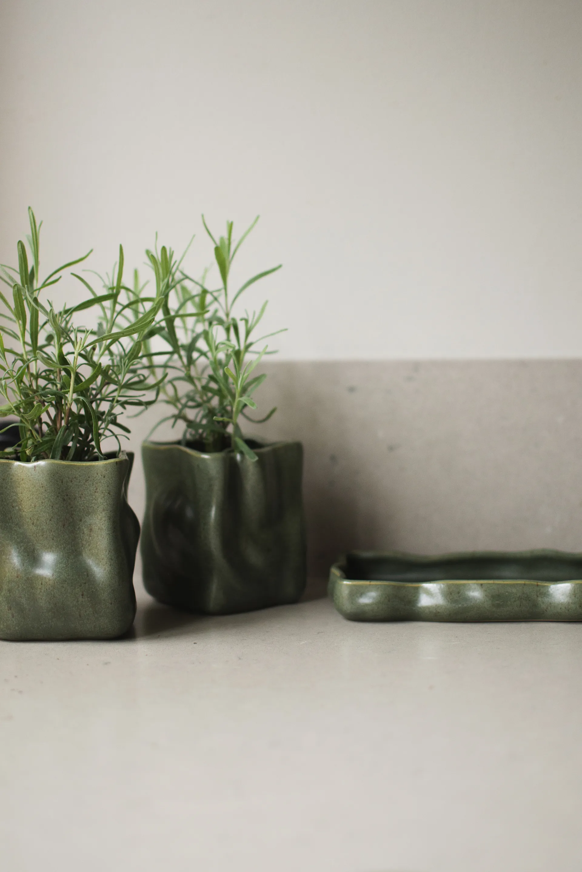 Herb pot, set of 3, Moss DBKD