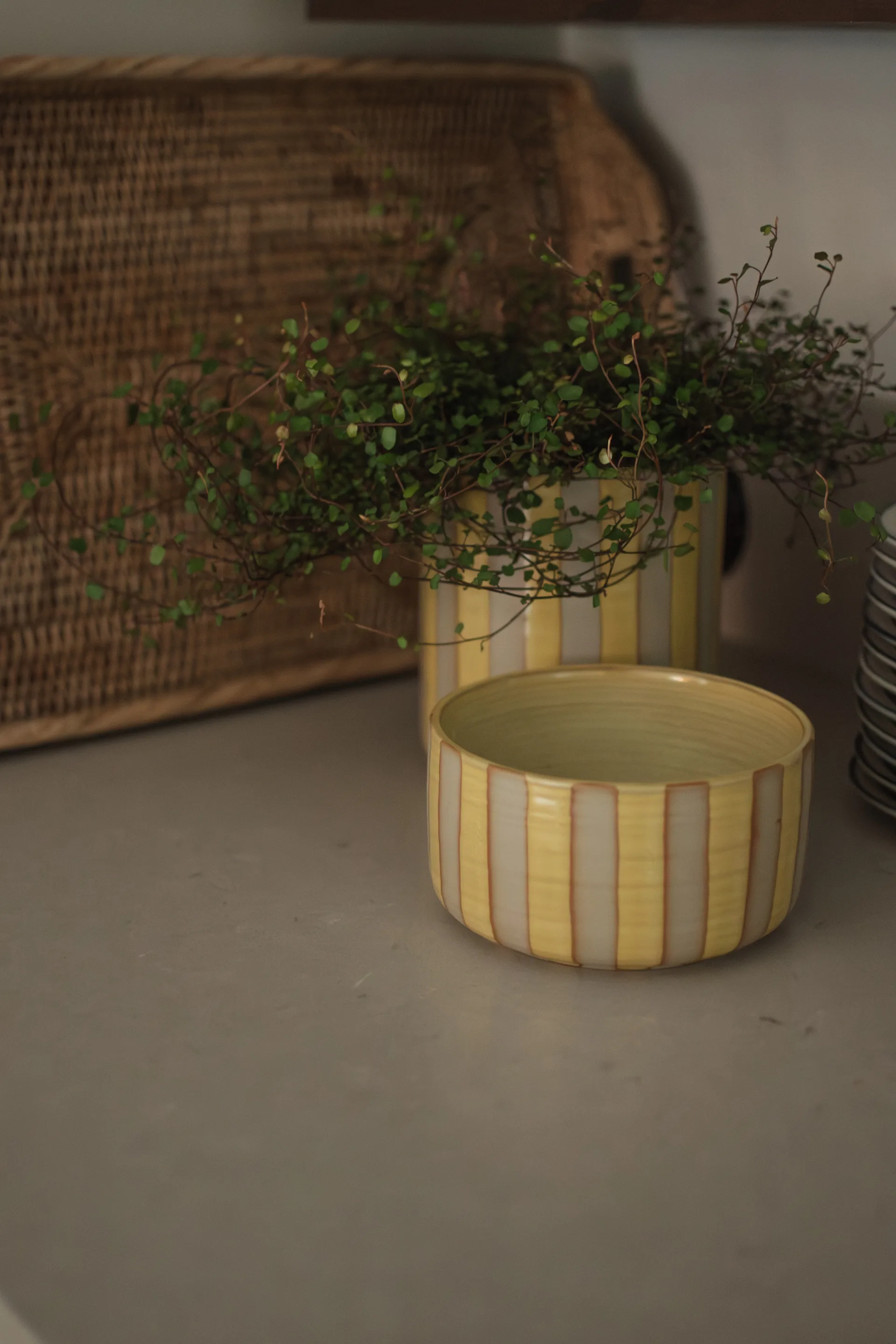 Line decorative bowl Ø16 cm, Yellow DBKD