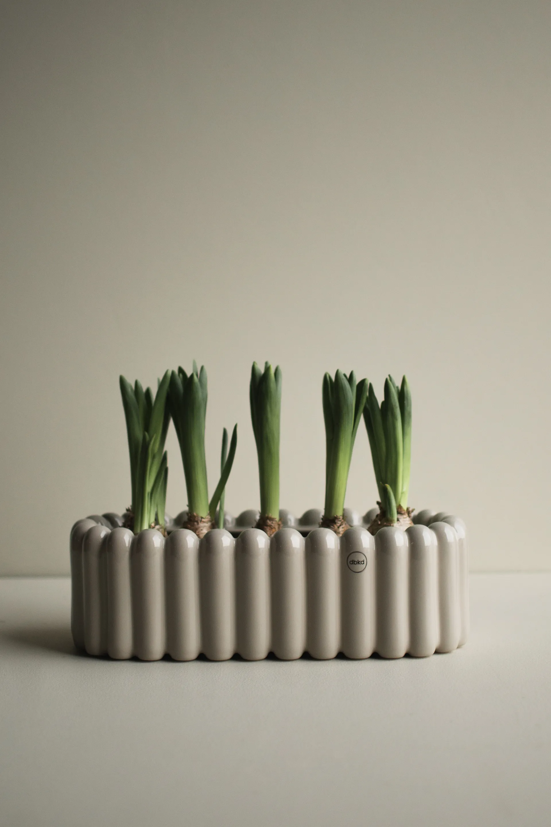 Mist flower pot oval small 35 cm, Shiny mole DBKD