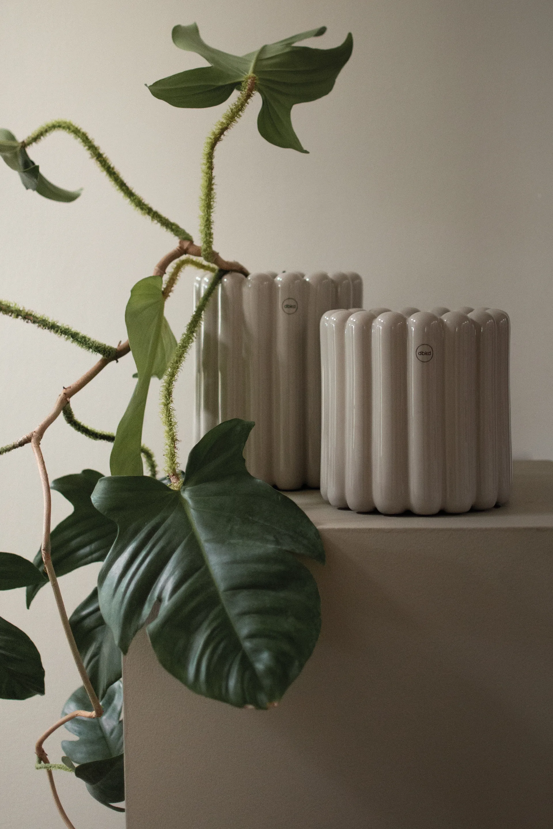 Mist flower pot small Ø19x19 cm, Shiny mole DBKD