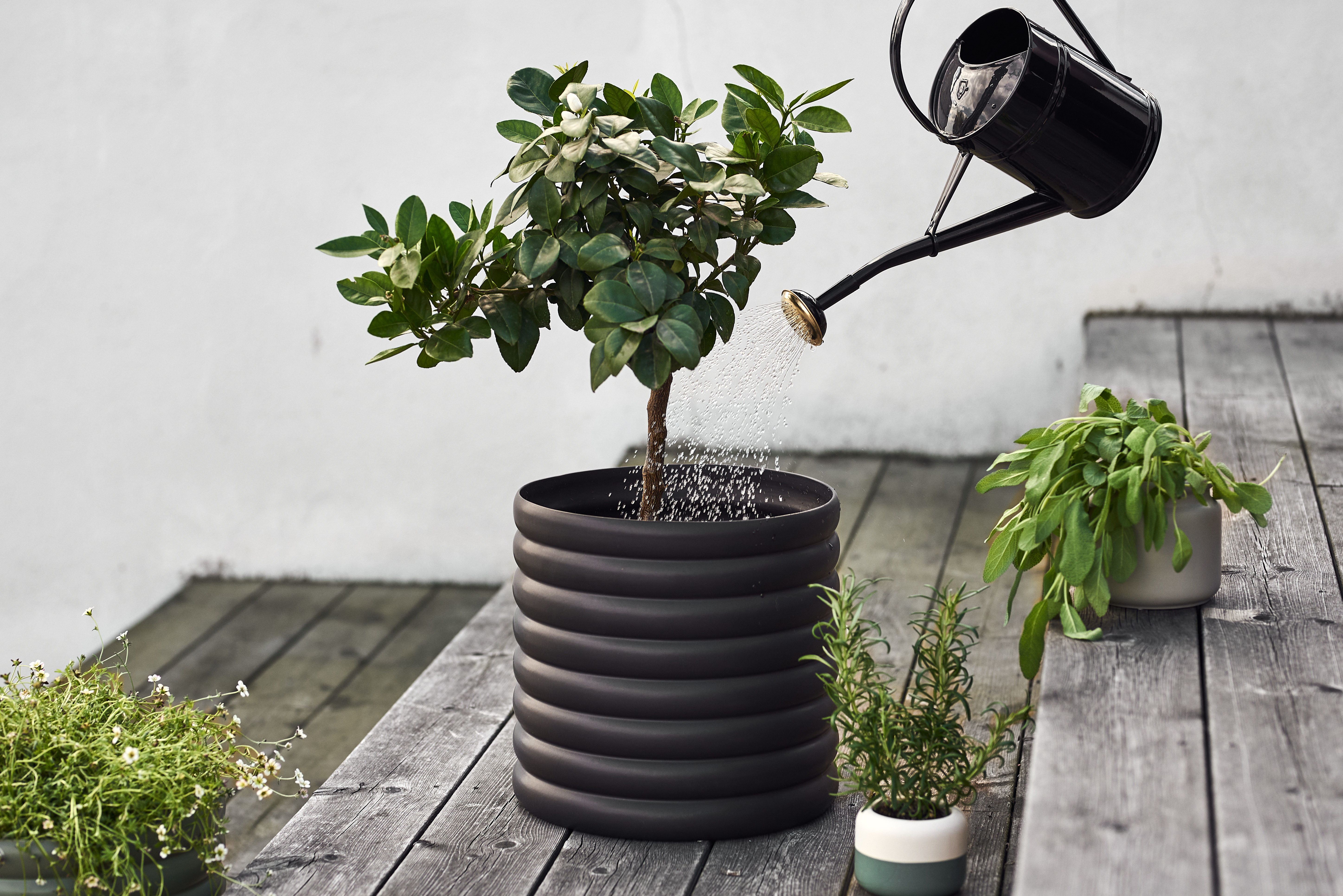 Mud pots for plants discount