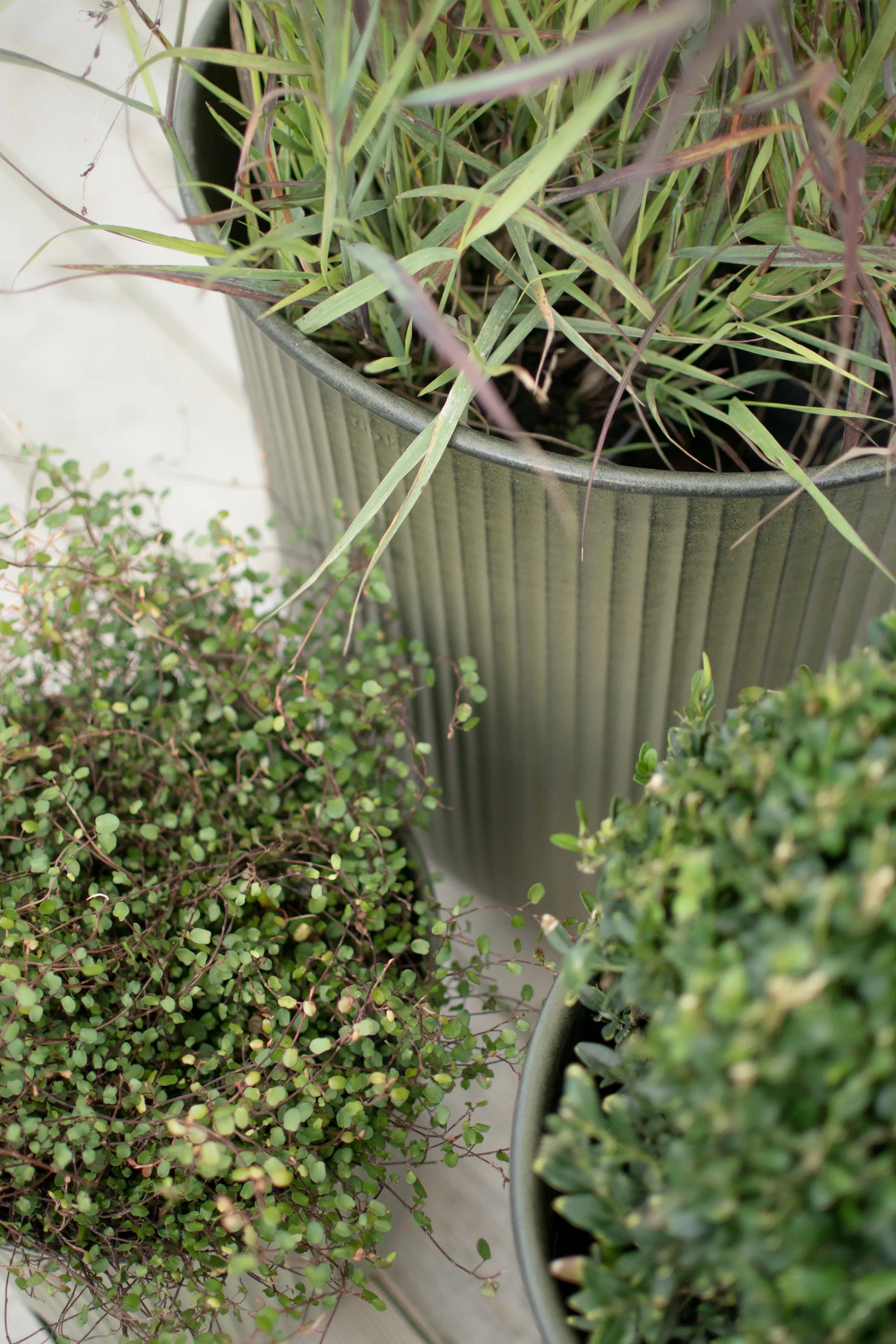 Out stripe flower pot 3-pack, Green DBKD