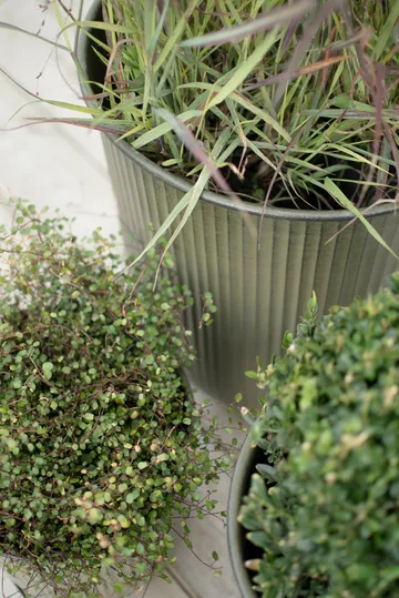 Out stripe flower pot 3-pack - Green - DBKD