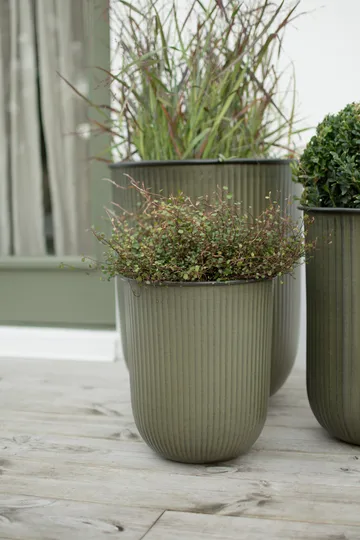 Out stripe flower pot 3-pack - Green - DBKD