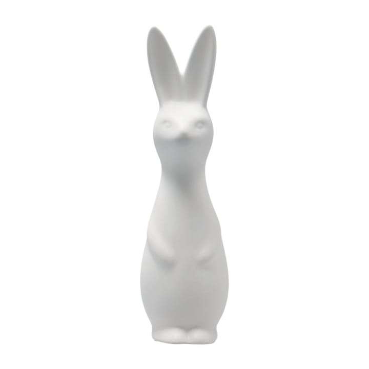 Swedish rabbit large - white - DBKD