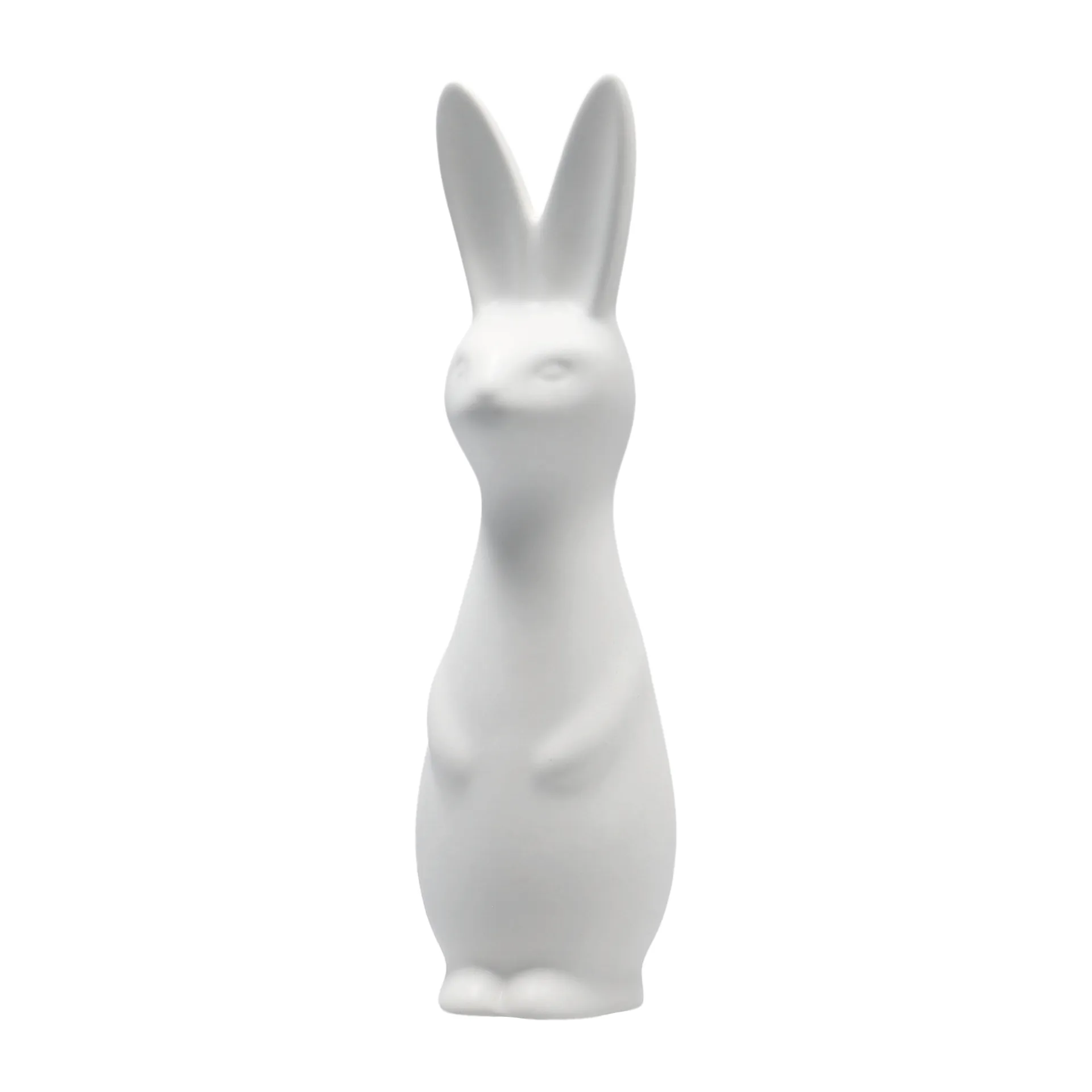 Swedish rabbit large, white DBKD
