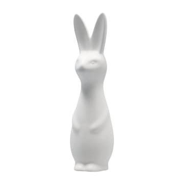 Swedish rabbit large - white - DBKD