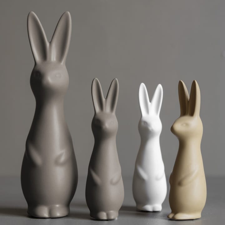 Swedish rabbit small, dust DBKD