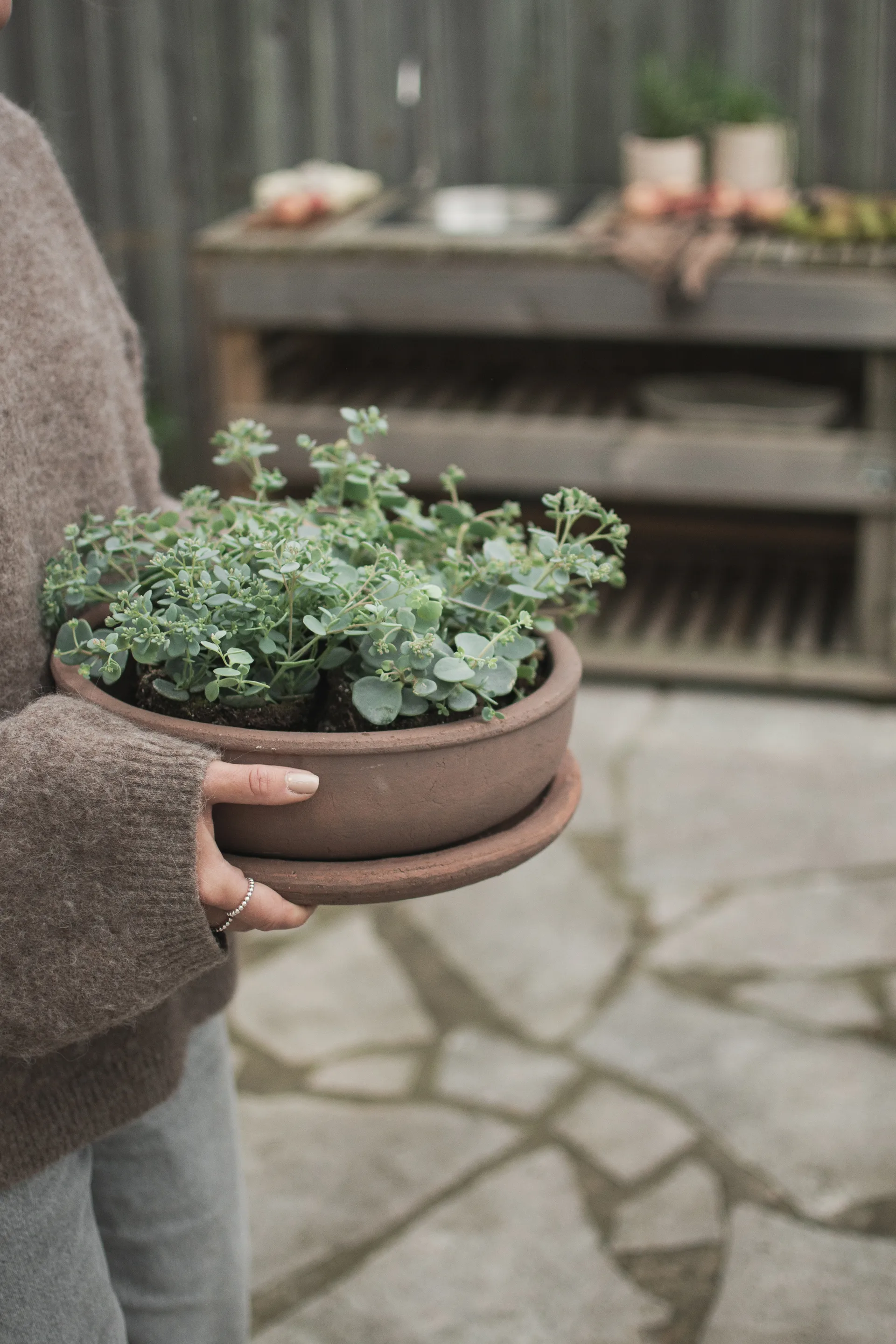 Terra bowl planter, Brown, Ø30x10.5 cm DBKD