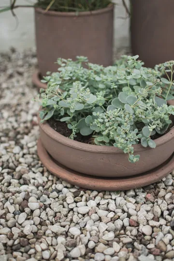 Terra bowl planter - Brown, Ø30x10.5 cm - DBKD