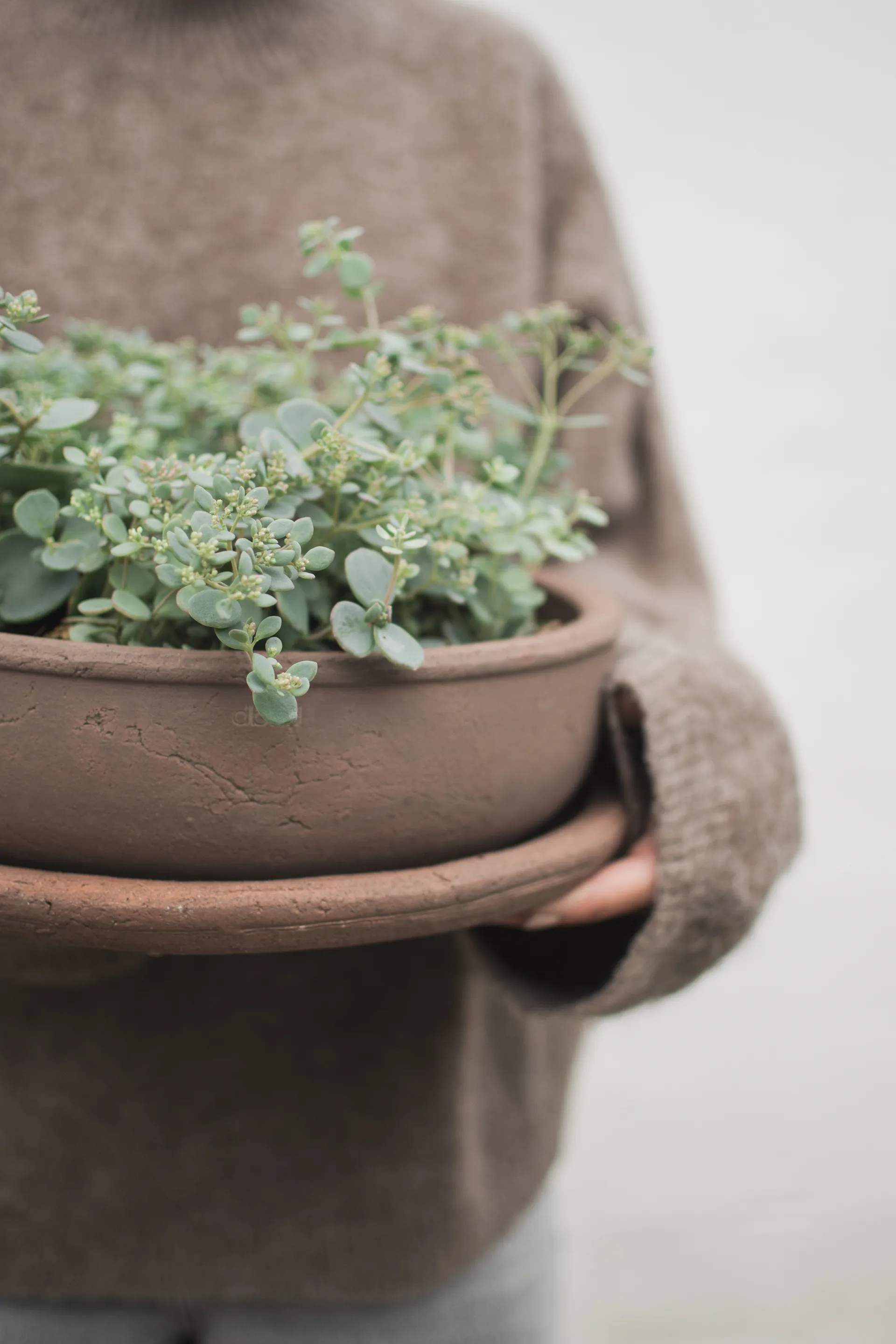 Terra bowl planter, Brown, Ø30x10.5 cm DBKD