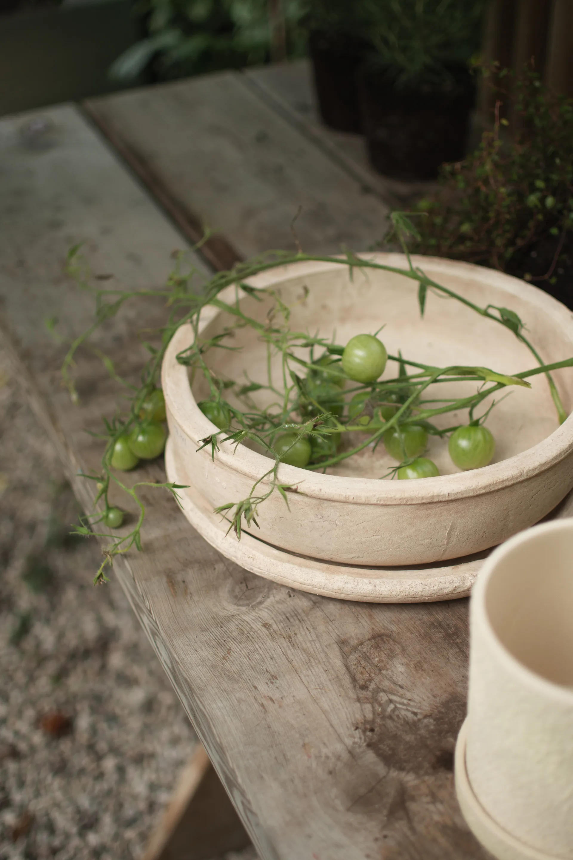 Terra bowl planter, Sand, Ø30x10.5 cm DBKD