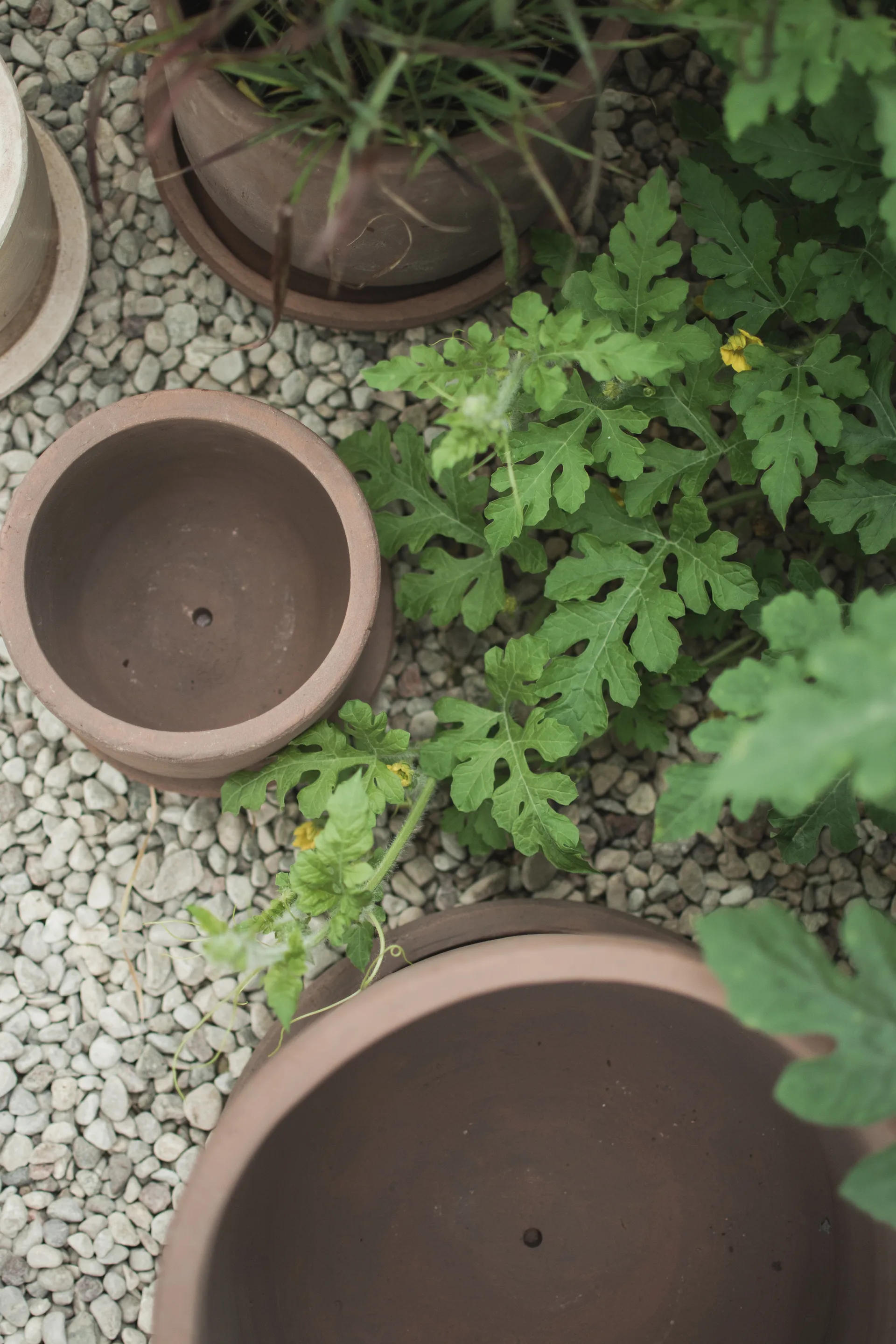 Terra pot, Brown, Ø33x36 cm DBKD