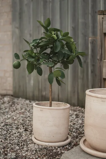 Terra pot - Sand, Ø23x26 cm - DBKD