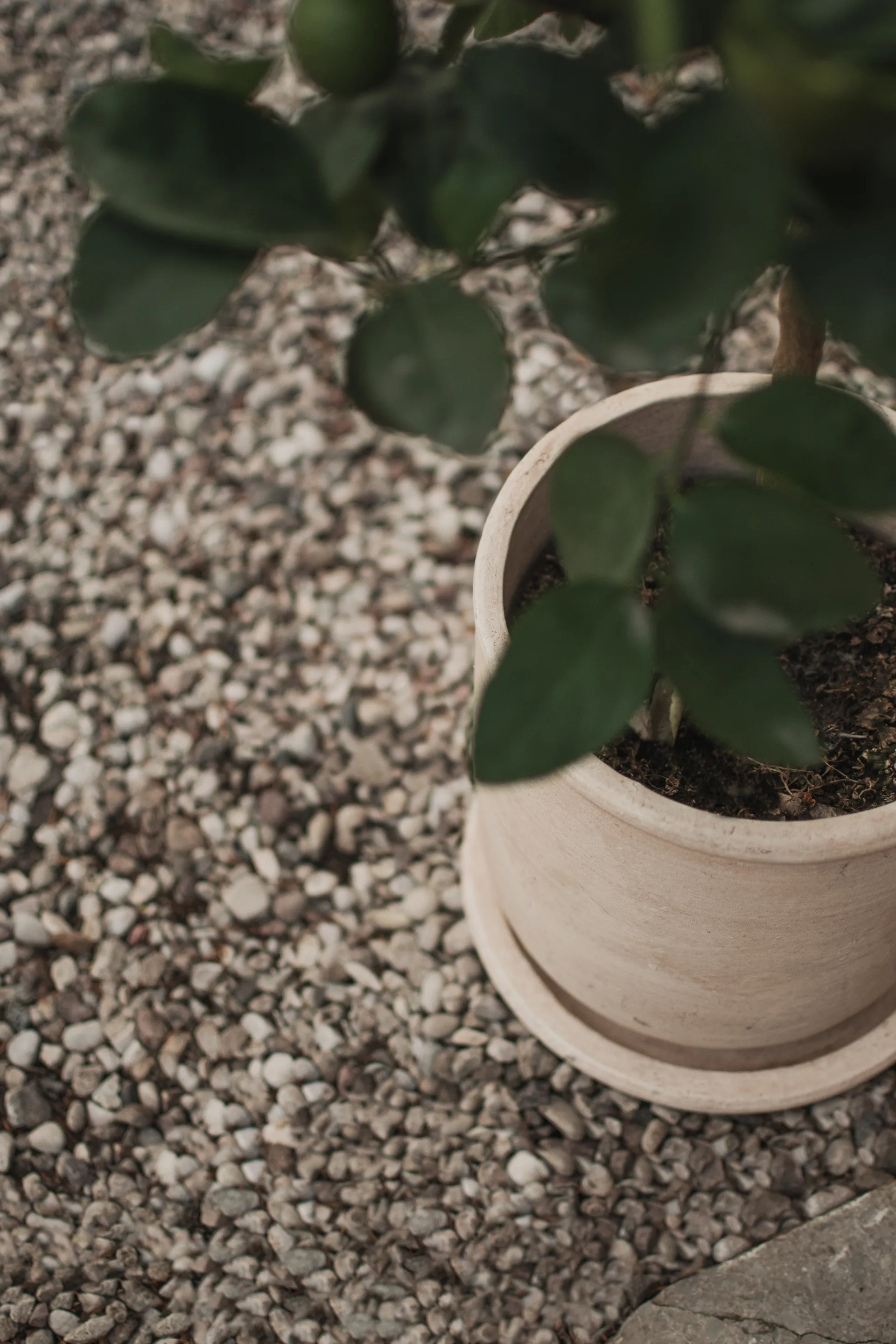 Terra pot, Sand, Ø23x26 cm DBKD