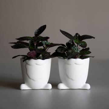 Walking Santa flower pot - white - DBKD