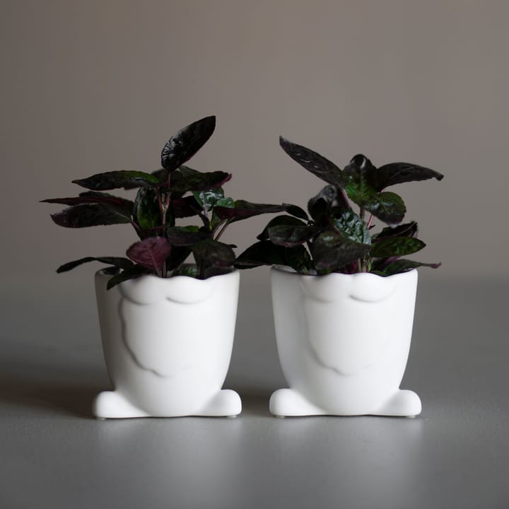 Walking Santa flower pot - white - DBKD