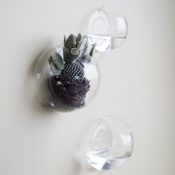 Wall glass wall vase - small - DBKD