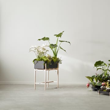 Botanic flower stand - Black-ash - Design House Stockholm