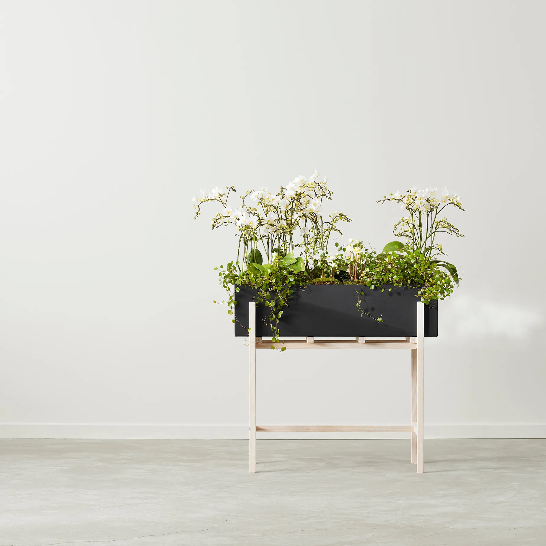 Botanic flower stand, Black-ash Design House Stockholm