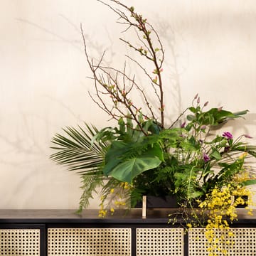 Botanic Flower Tray flower box - black - Design House Stockholm