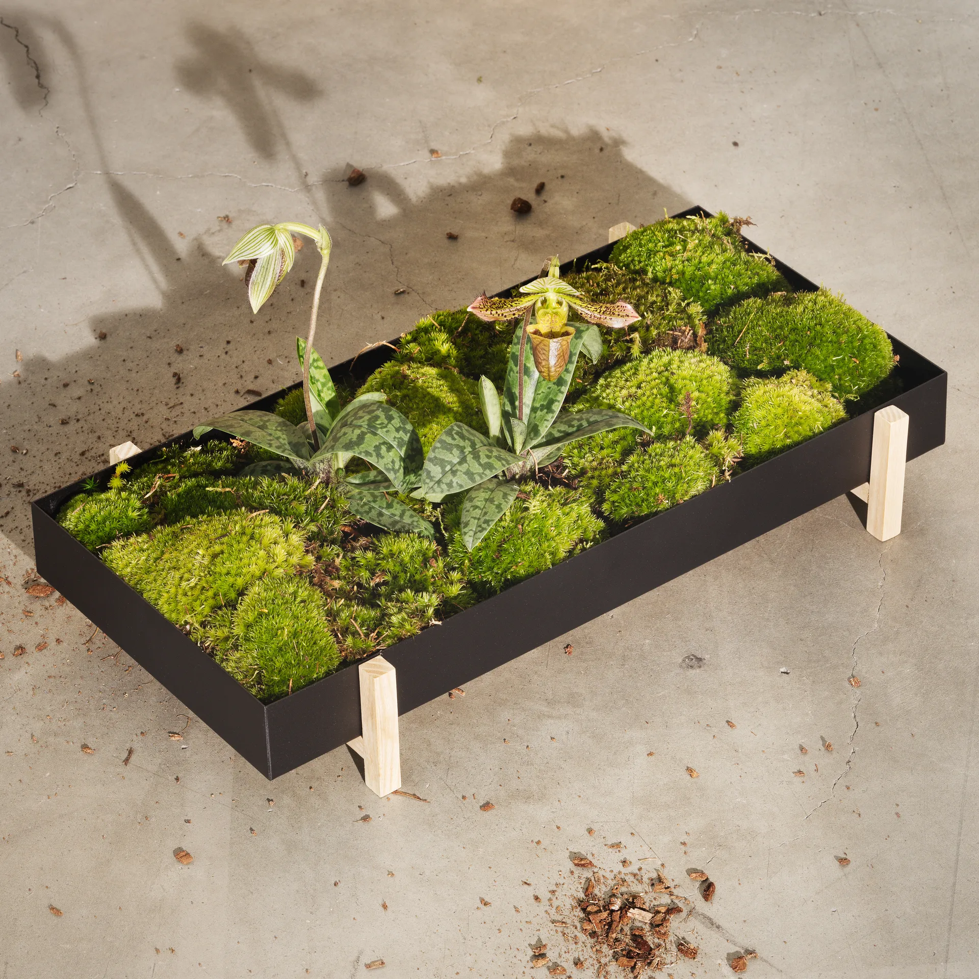 Botanic Flower Tray flower box, black Design House Stockholm