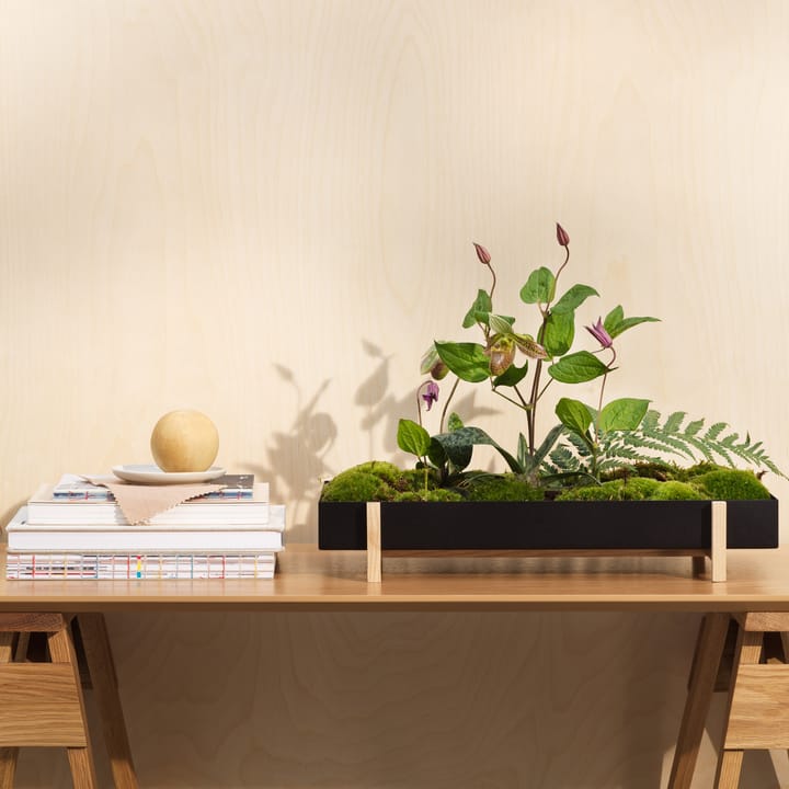 Botanic Flower Tray flower box, black Design House Stockholm