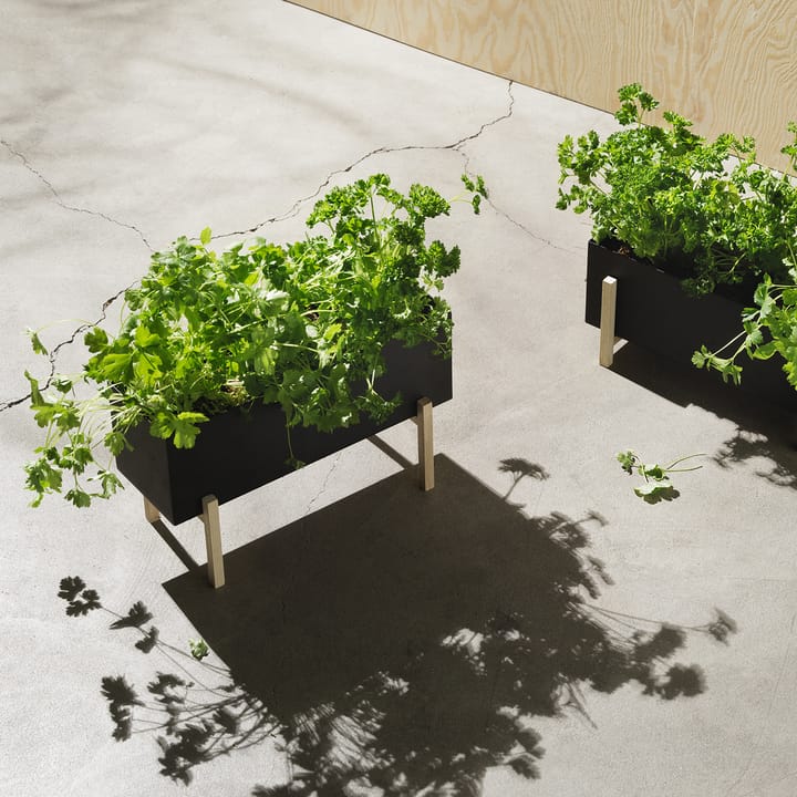 Botanic herb box, black-box Design House Stockholm